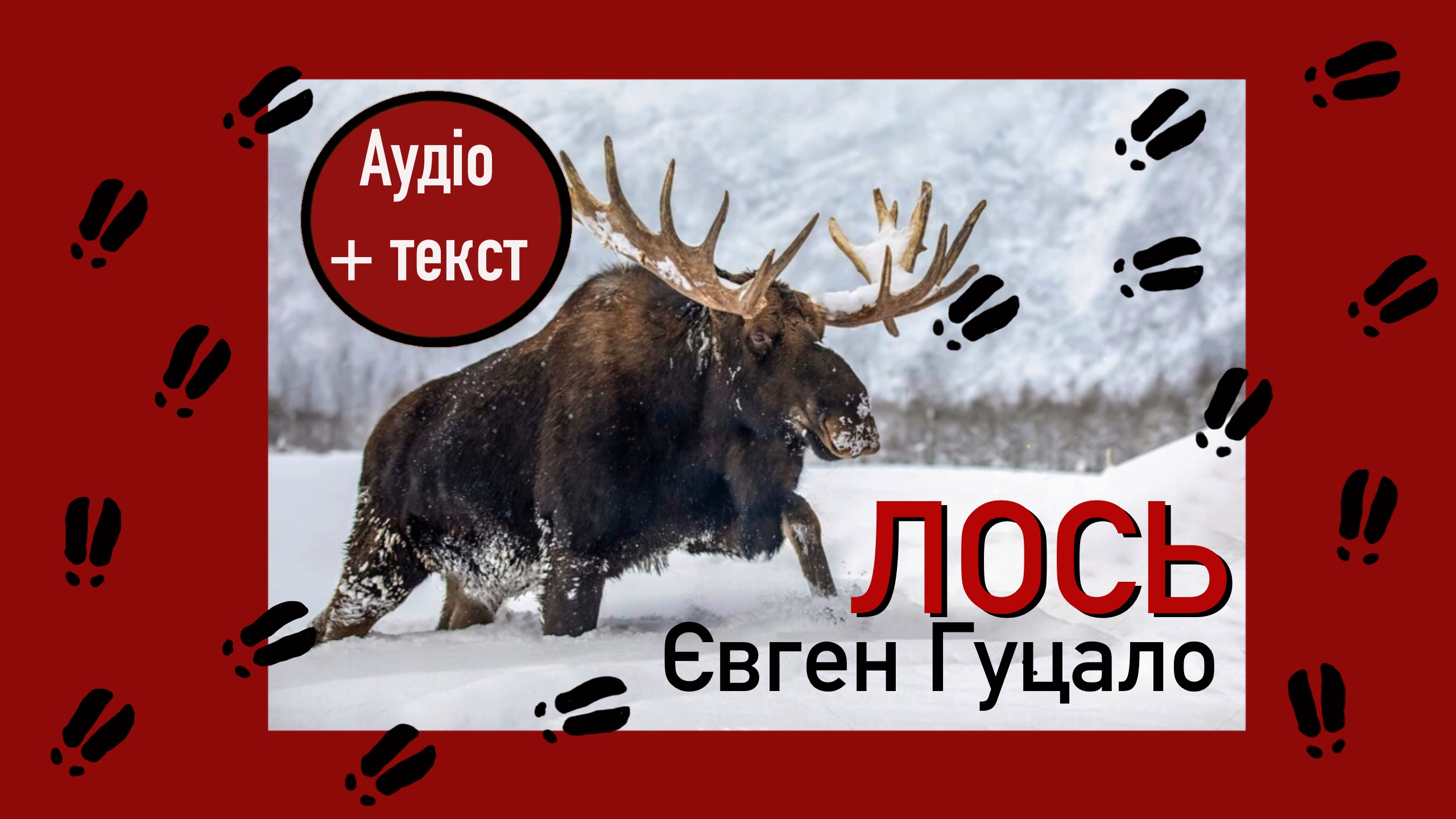 Обкладинка: відеокнига «Лось» Євген Гуцало