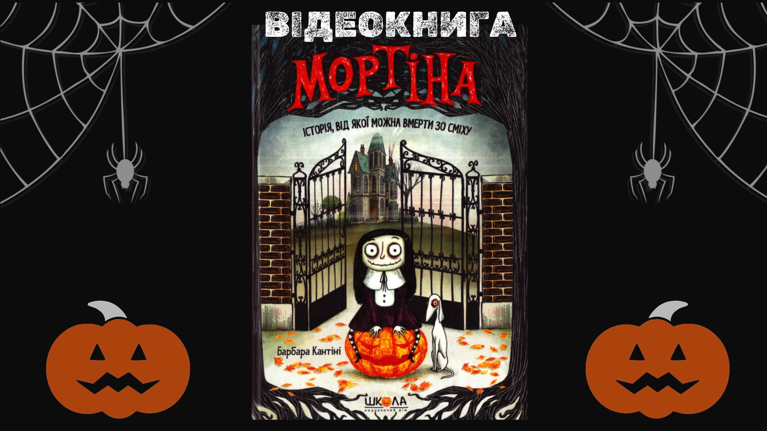 Обкладинка відеокниги Мортіна